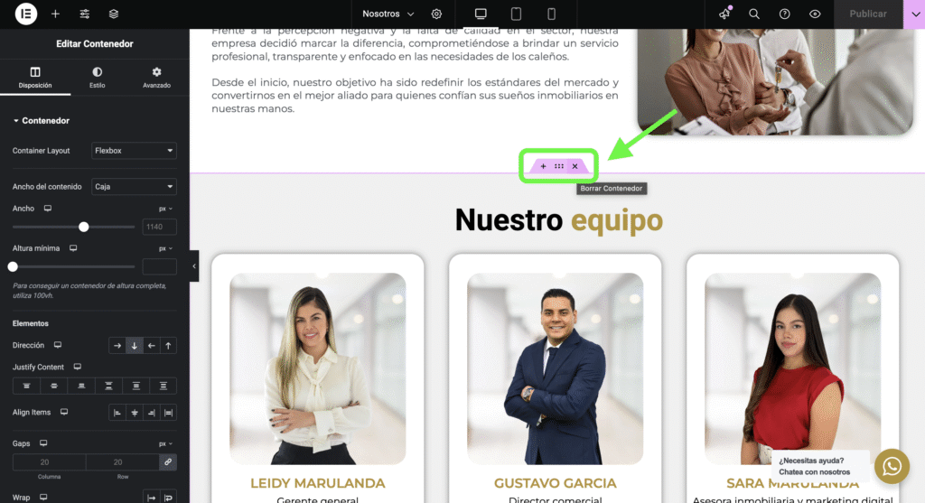 Borrar Sección Elementor